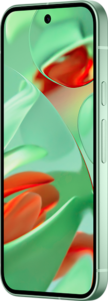 Google Pixel 9 256GB Wintergreen #3
