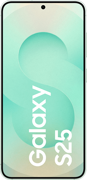 Samsung Galaxy S25 256GB Mint