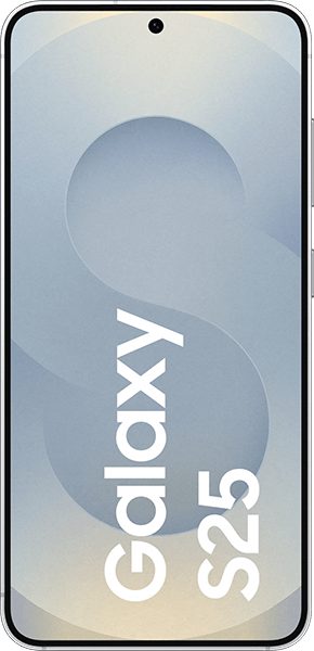 Samsung Galaxy S25 256GB Silver Shadow