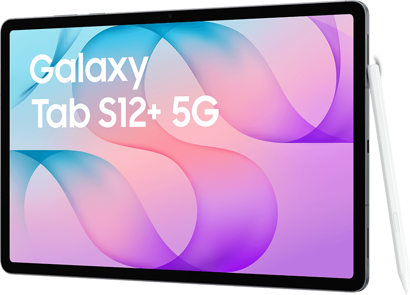 Samsung Galaxy Tab S12+ 5G 256GB Gray