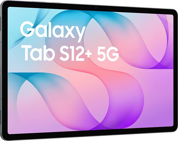 Samsung Galaxy Tab S12+ 5G 256GB Gray #4