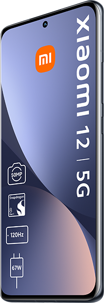 Xiaomi 12 Gray