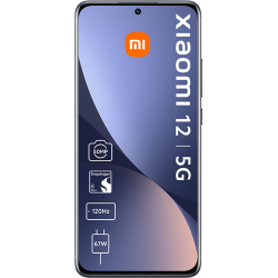 Xiaomi 12 Gray